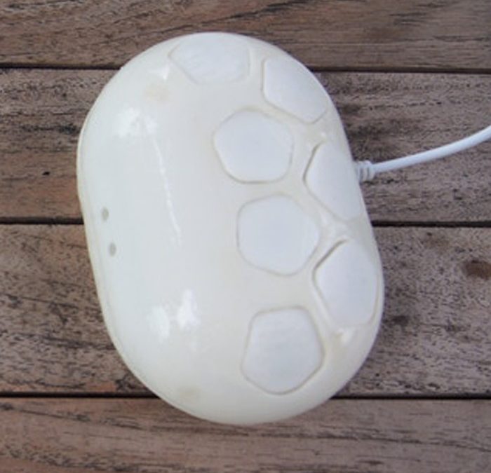 PAU – kieszonkowa perkusja