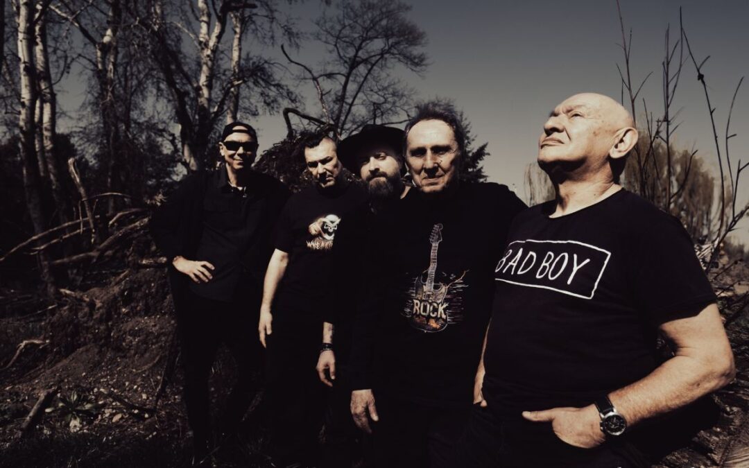 Kto będzie bębniarzem odrodzonego Perfectu?